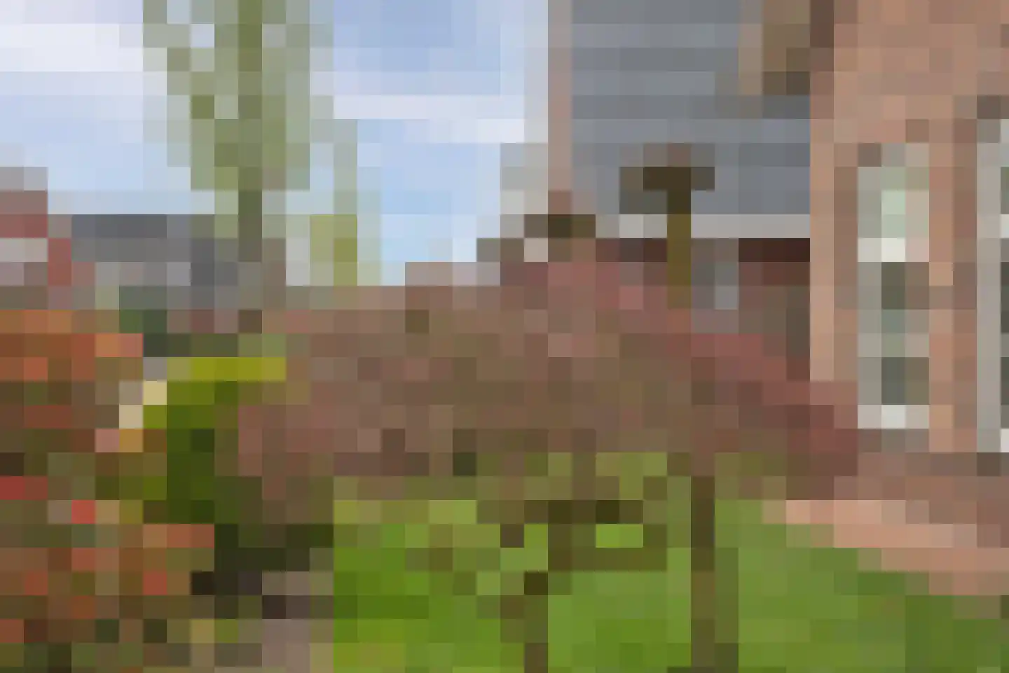 Olieslager 55 Rijssen thumbnail 25