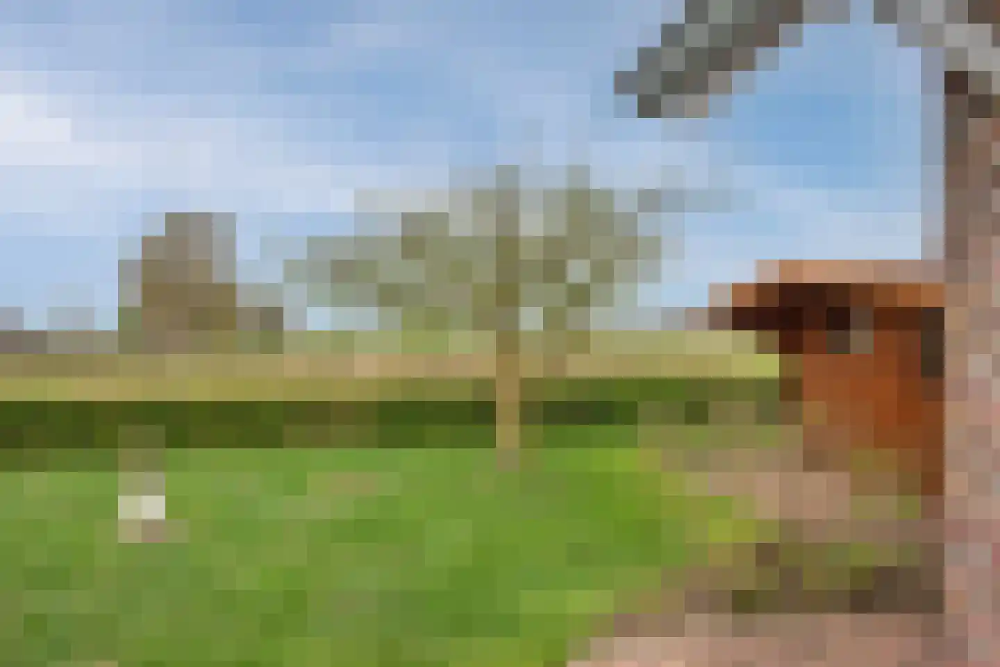 Olieslager 55 Rijssen thumbnail 29