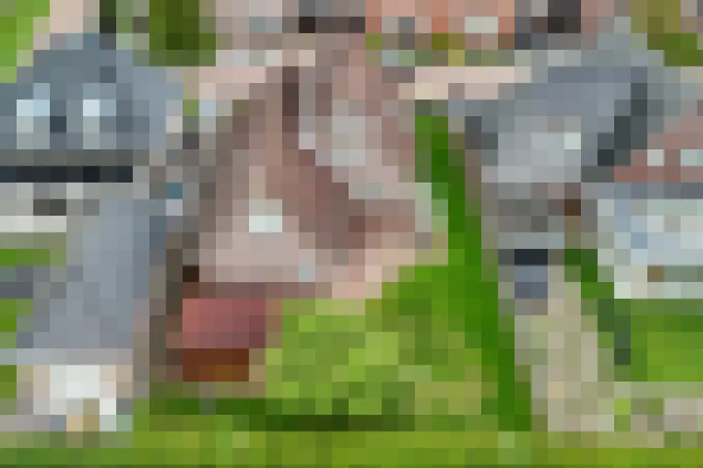 Olieslager 55 Rijssen thumbnail 31