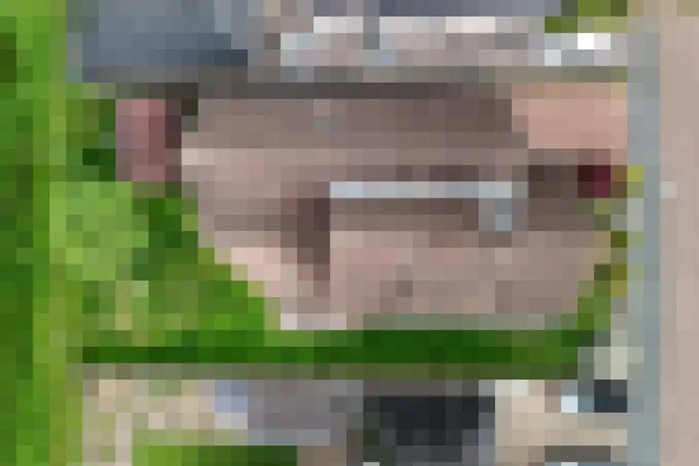 Olieslager 55 Rijssen thumbnail 32