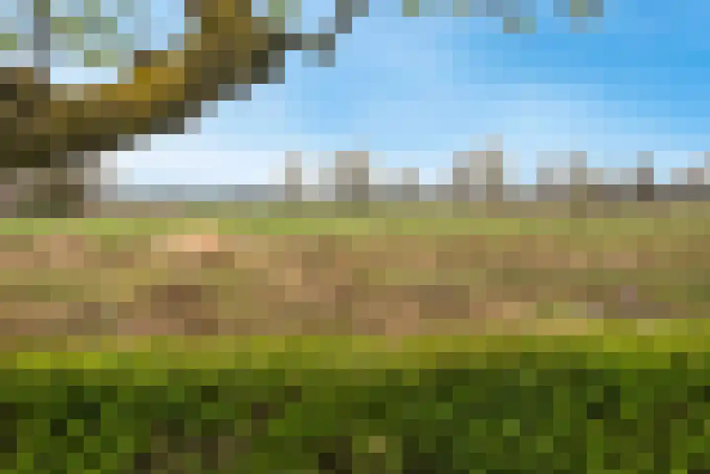 Olieslager 55 Rijssen thumbnail 37