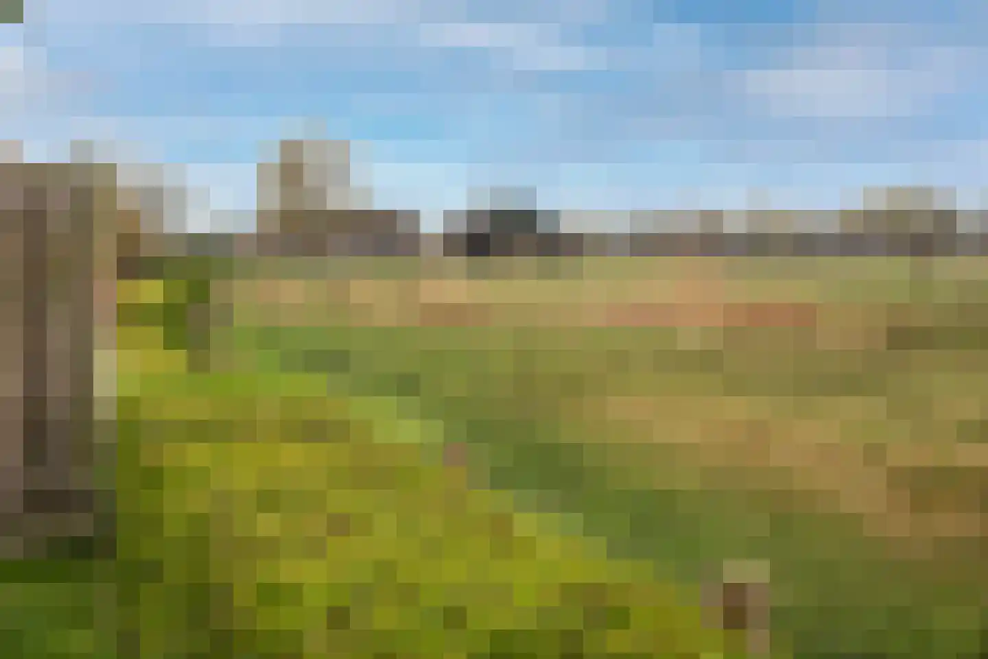 Olieslager 55 Rijssen thumbnail 39
