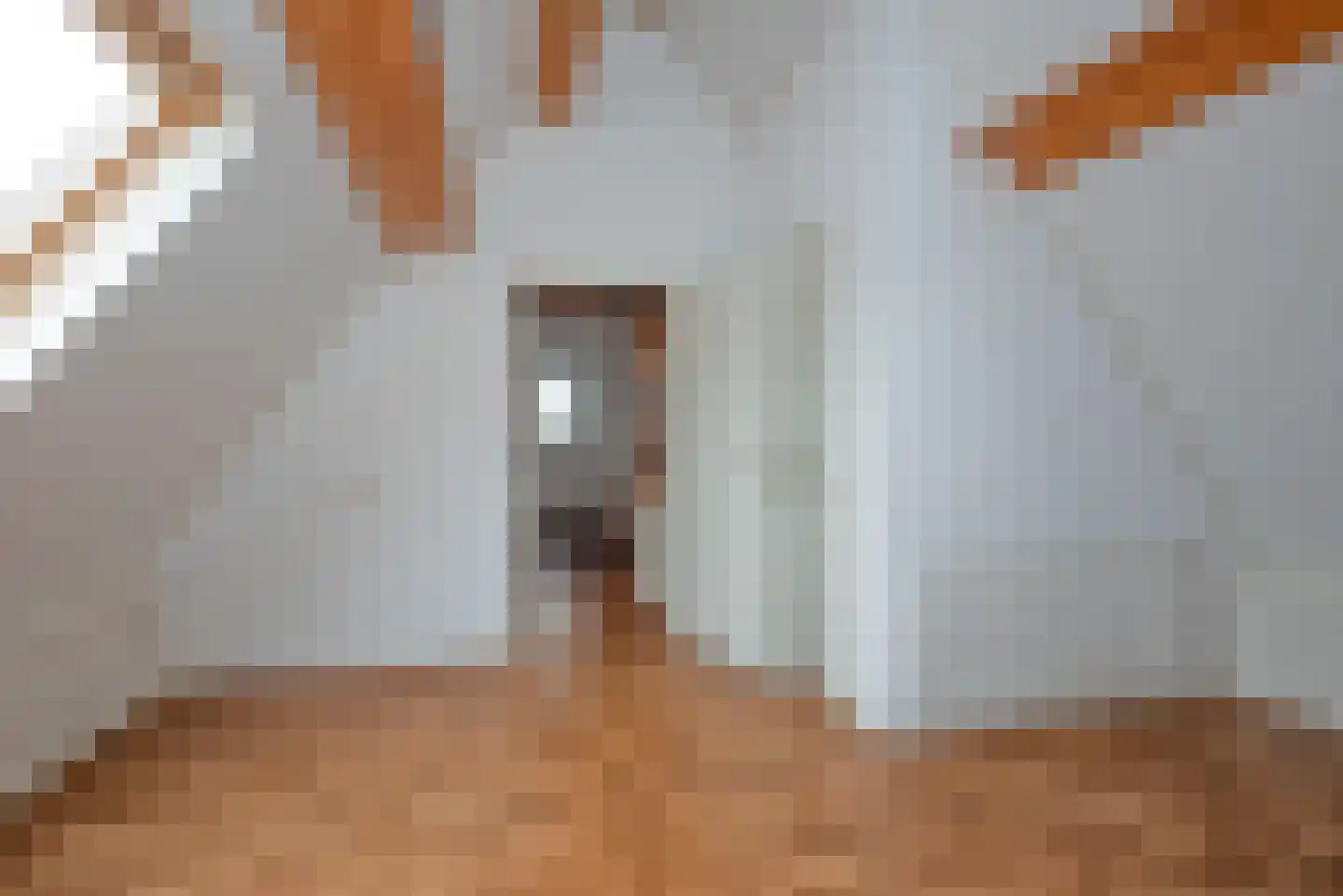 Olieslager 55 Rijssen thumbnail 51