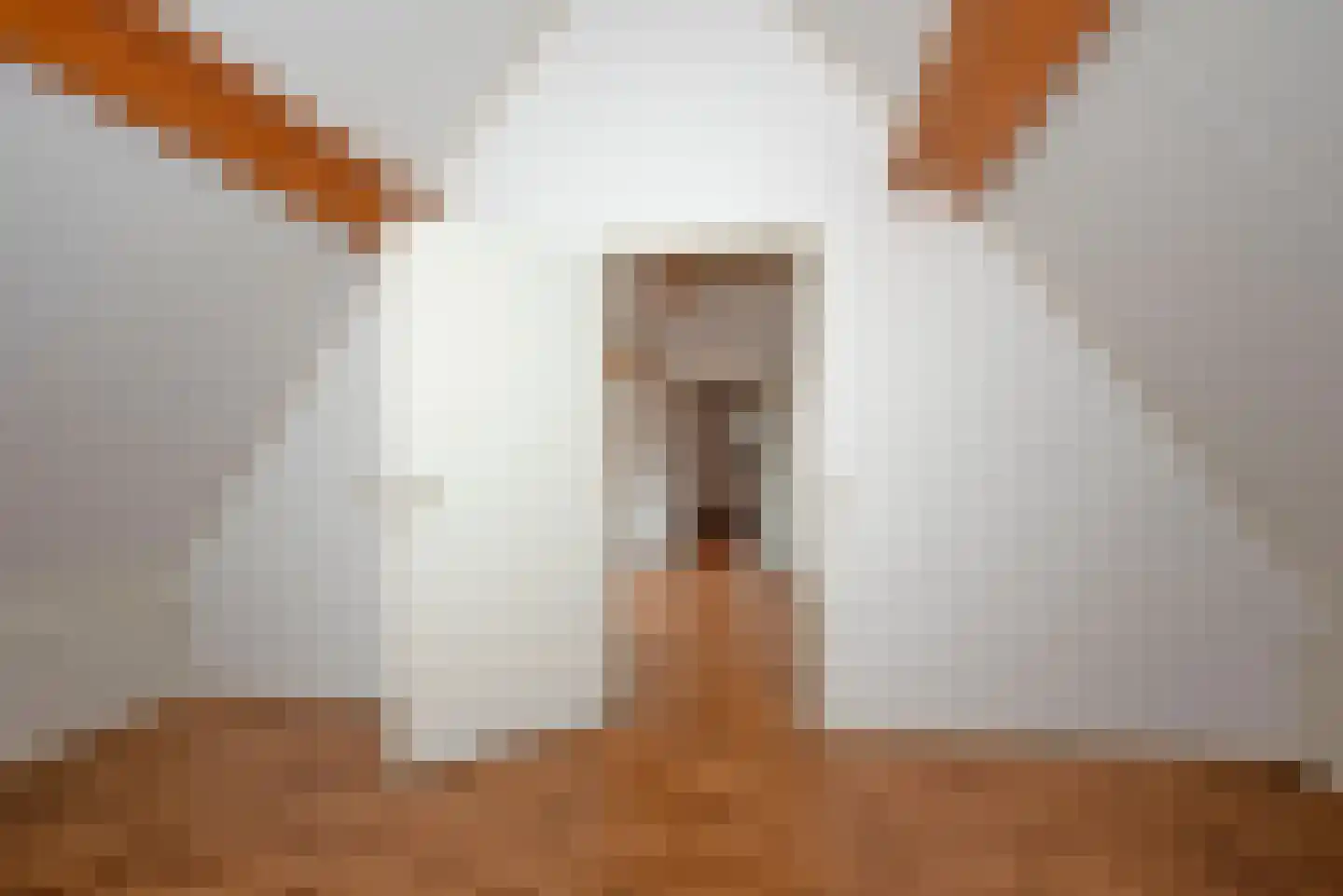 Olieslager 55 Rijssen thumbnail 53