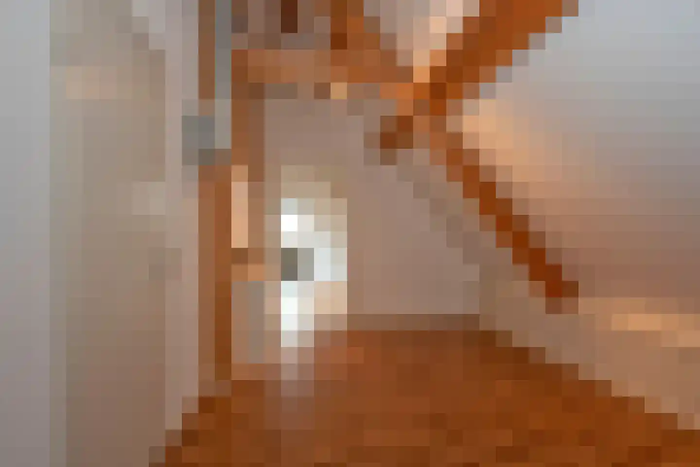 Olieslager 55 Rijssen thumbnail 54