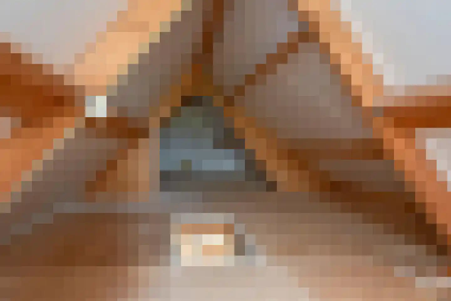 Olieslager 55 Rijssen thumbnail 56
