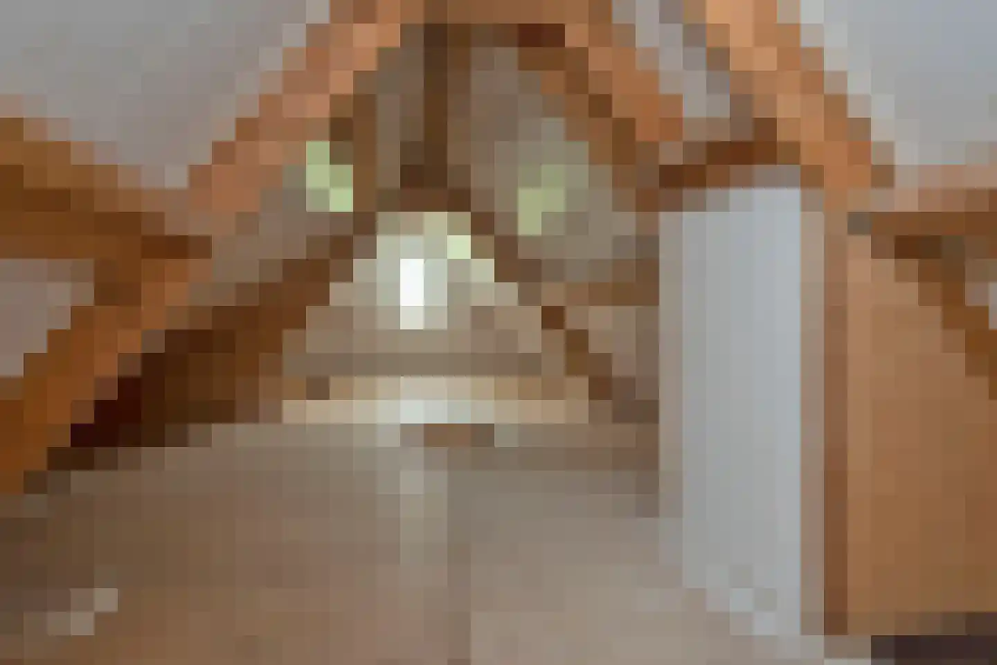Olieslager 55 Rijssen thumbnail 57