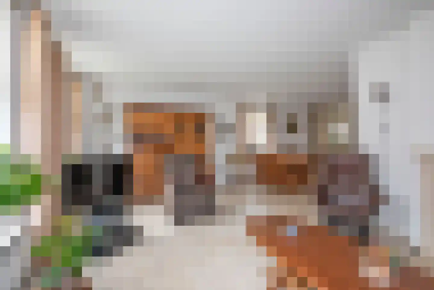 Olieslager 55 Rijssen thumbnail 7