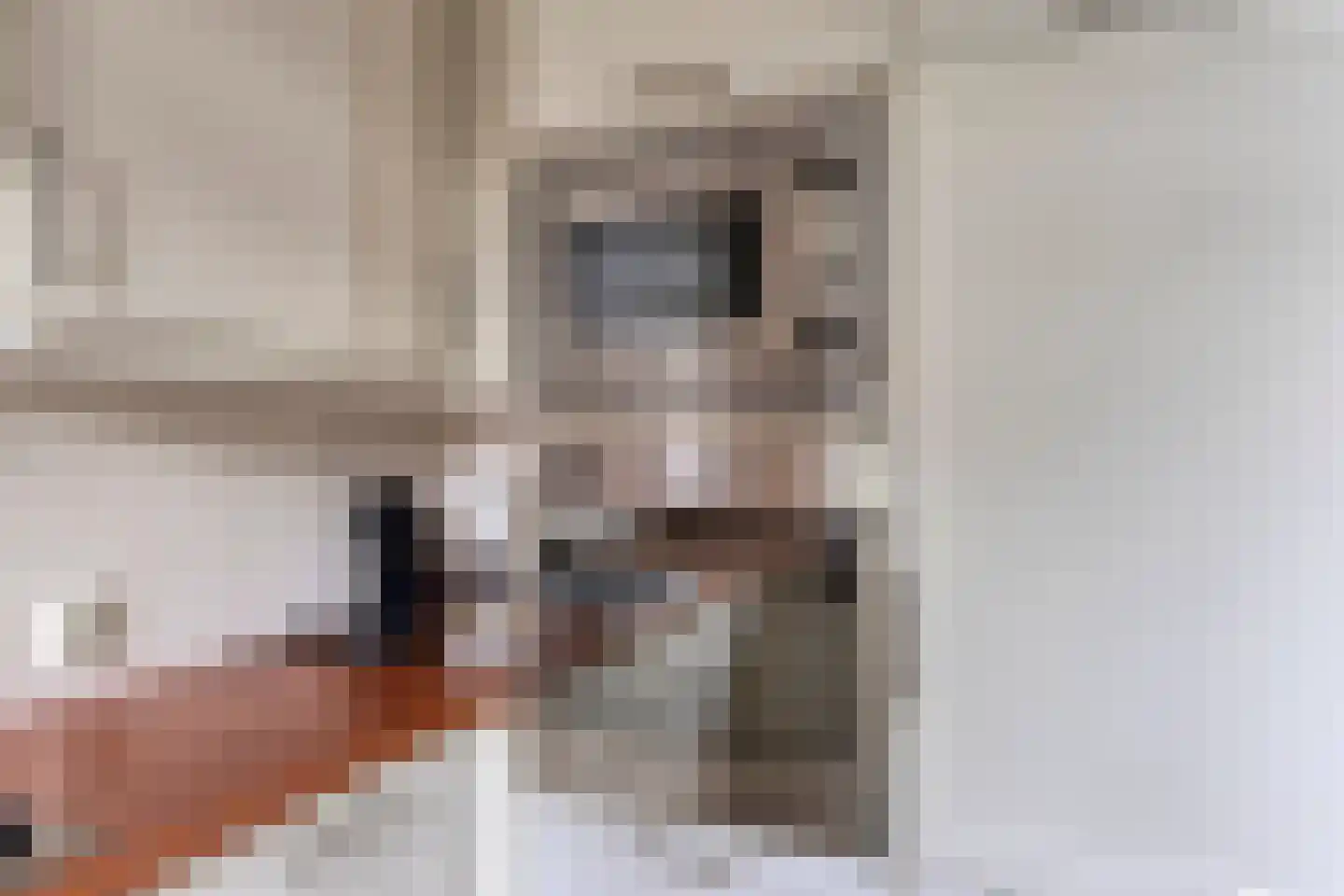 Olieslager 6 Best thumbnail 10