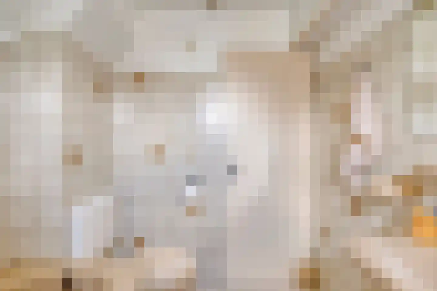 Olieslager 6 Best thumbnail 20