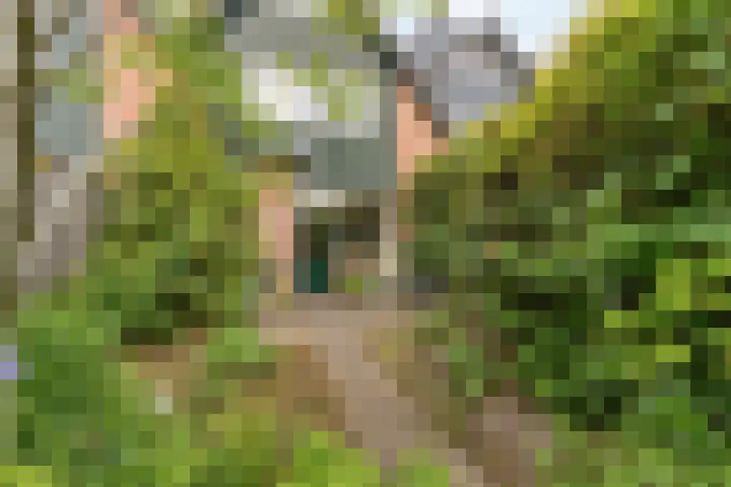 Olieslager 6 Best thumbnail 28