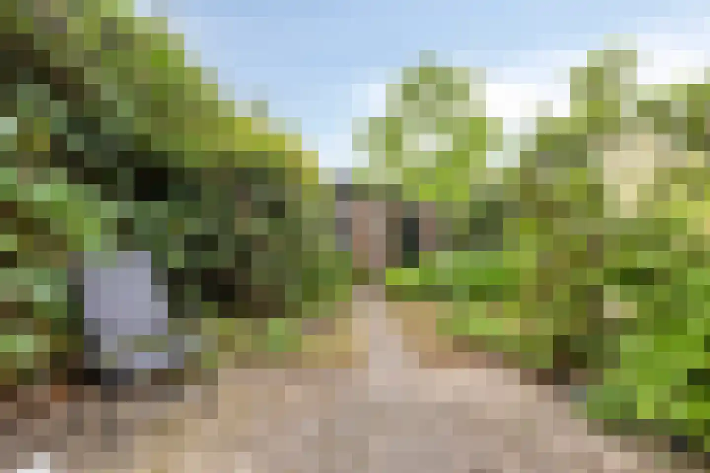 Olieslager 6 Best thumbnail 30