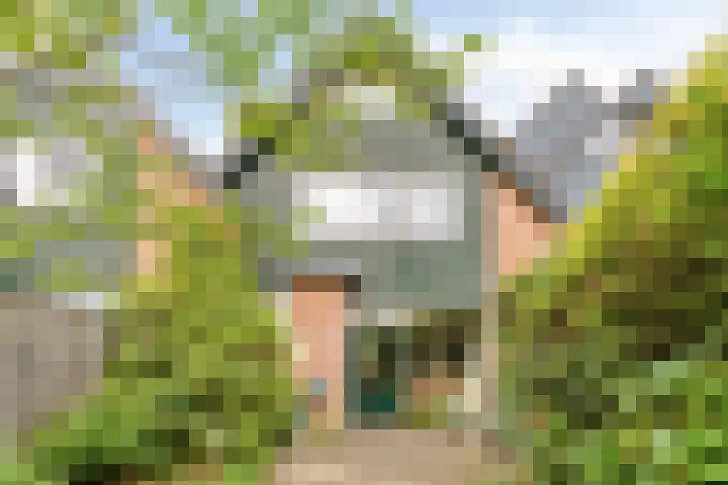 Olieslager 6 Best thumbnail 31