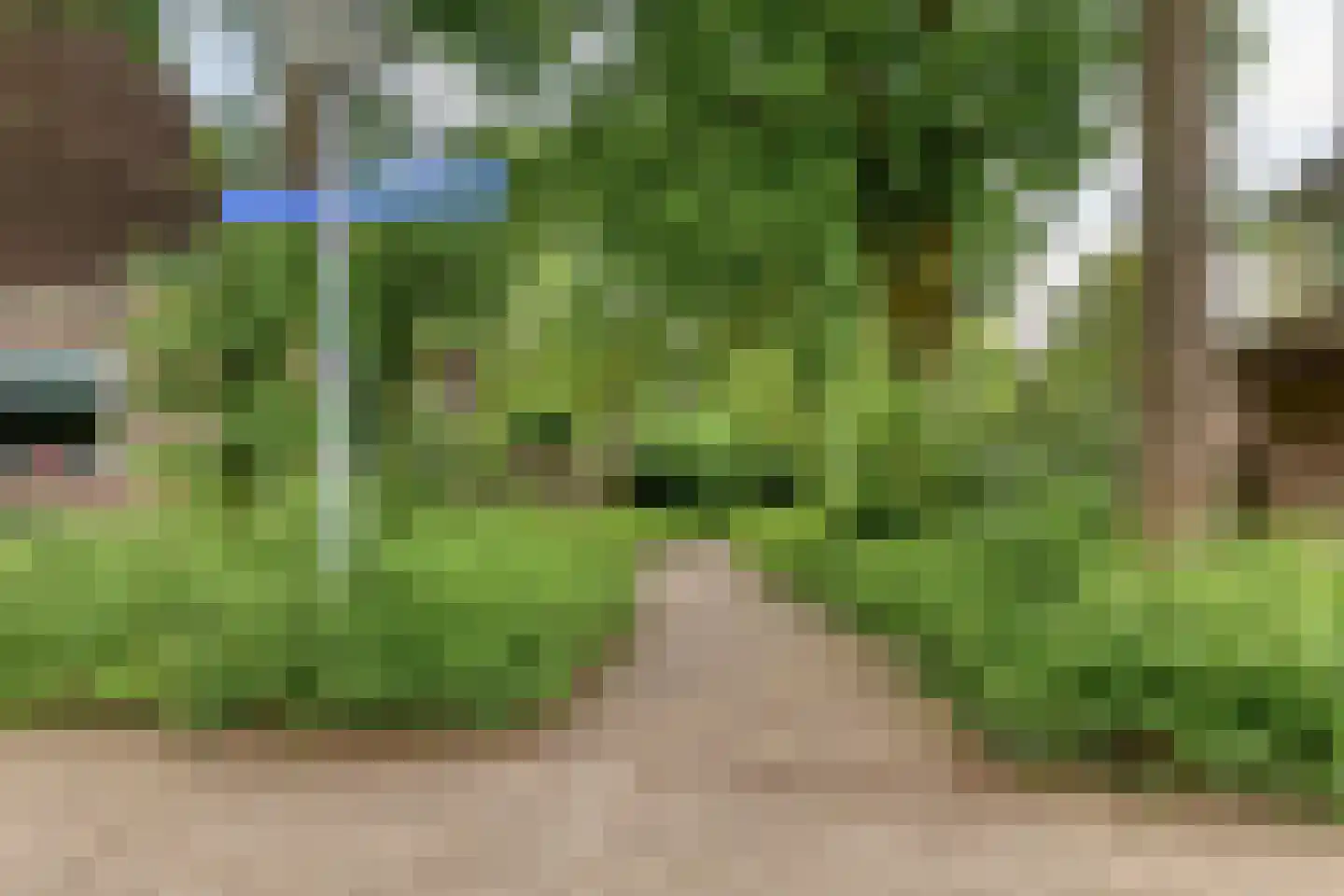 Olieslager 6 Best thumbnail 40