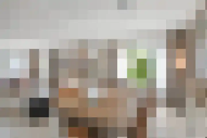 Olieslager 7 Leiderdorp thumbnail 10