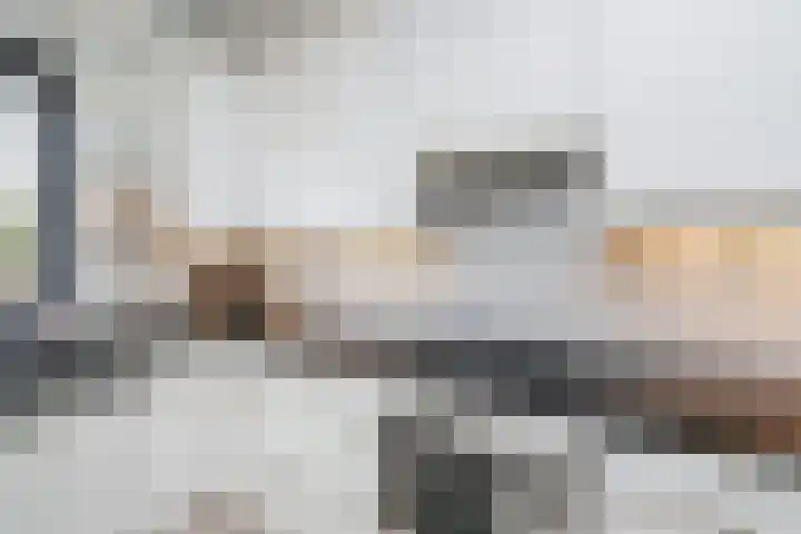 Olieslager 7 Leiderdorp thumbnail 12