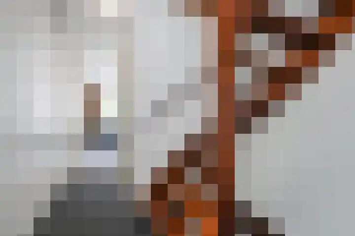 Olieslager 7 Leiderdorp thumbnail 18