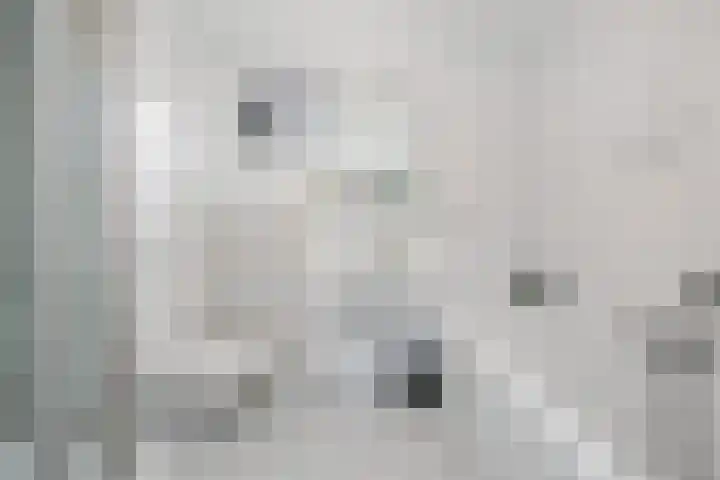 Olieslager 7 Leiderdorp thumbnail 22