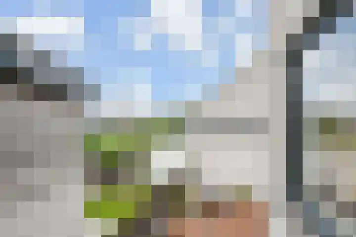 Olieslager 7 Leiderdorp thumbnail 46