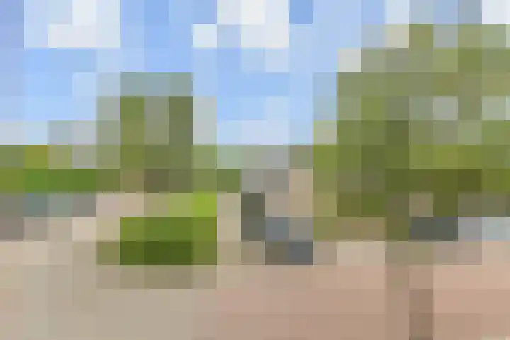 Olieslager 7 Leiderdorp thumbnail 47