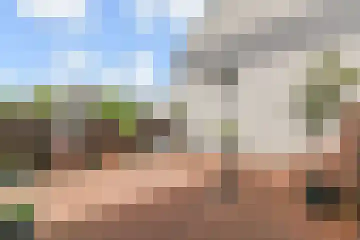 Olieslager 7 Leiderdorp thumbnail 49
