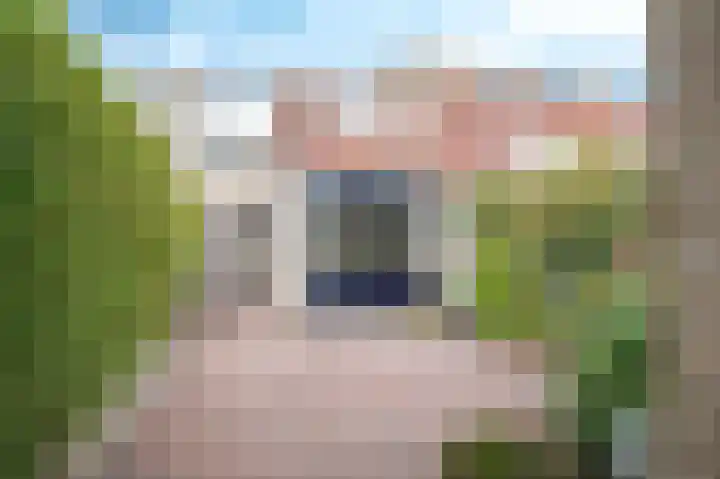 Olieslagershorst 104 Apeldoorn thumbnail 17