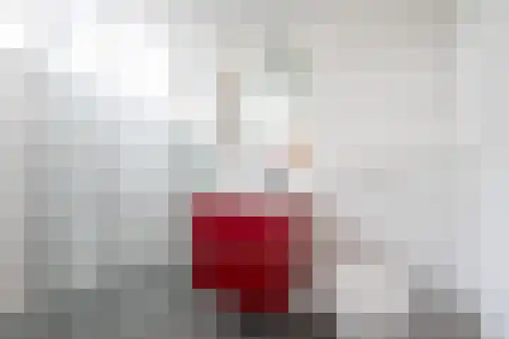 Olieslagershorst 104 Apeldoorn thumbnail 27