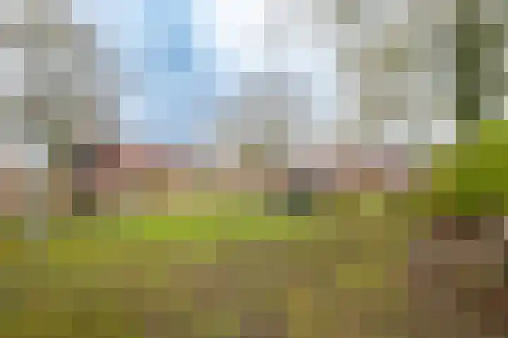 Olieslagershorst 104 Apeldoorn thumbnail 5