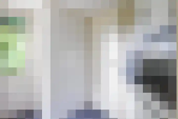 Olieslagershorst 228 Apeldoorn thumbnail 12