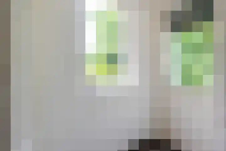 Olieslagershorst 228 Apeldoorn thumbnail 13