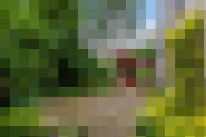 Olieslagershorst 228 Apeldoorn thumbnail 14