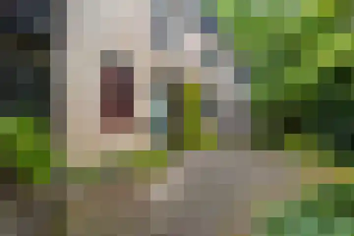 Olieslagershorst 228 Apeldoorn thumbnail 15