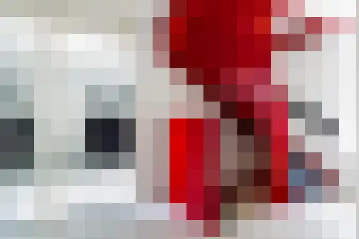 Olieslagershorst 228 Apeldoorn thumbnail 19