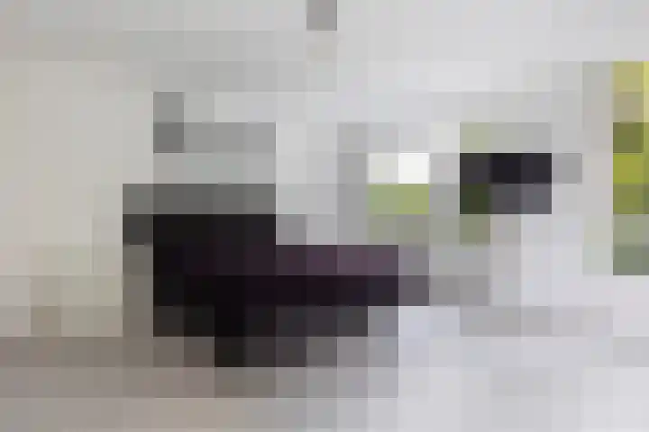 Olieslagershorst 228 Apeldoorn thumbnail 20