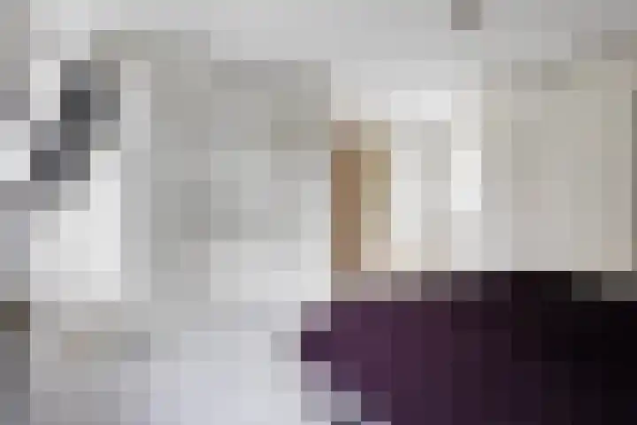 Olieslagershorst 228 Apeldoorn thumbnail 21