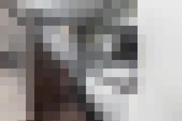 Olieslagershorst 228 Apeldoorn thumbnail 22
