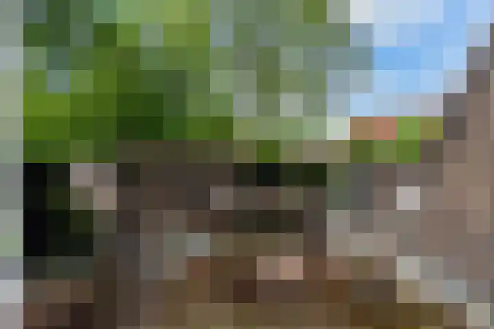 Olieslagershorst 228 Apeldoorn thumbnail 25
