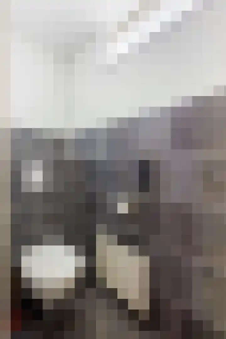 Olieslagershorst 228 Apeldoorn thumbnail 26