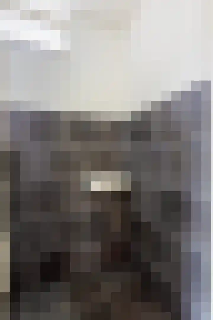 Olieslagershorst 228 Apeldoorn thumbnail 27
