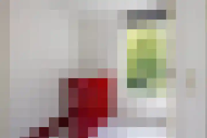 Olieslagershorst 228 Apeldoorn thumbnail 28