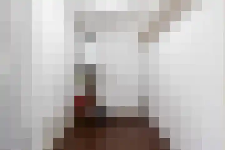 Olieslagershorst 228 Apeldoorn thumbnail 29