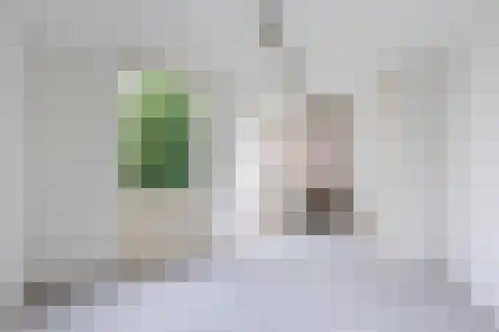 Olieslagershorst 228 Apeldoorn thumbnail 31