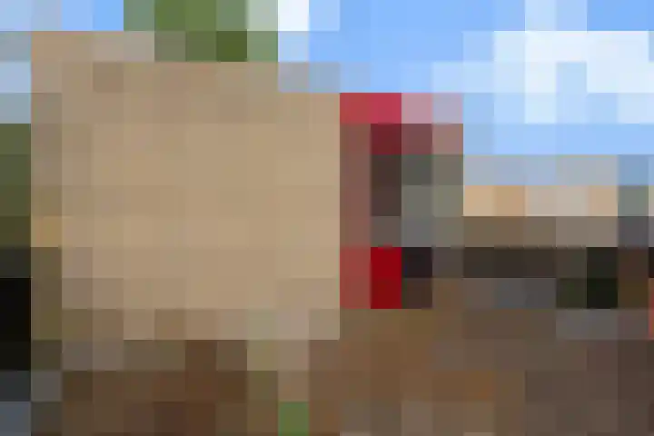 Olieslagershorst 228 Apeldoorn thumbnail 32