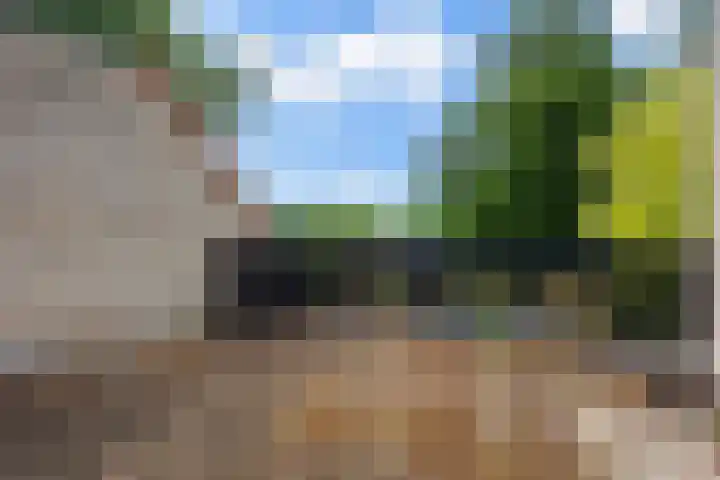 Olieslagershorst 228 Apeldoorn thumbnail 34