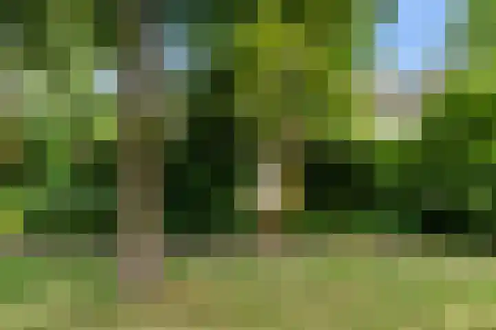 Olieslagershorst 228 Apeldoorn thumbnail 36