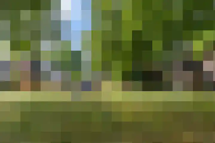 Olieslagershorst 228 Apeldoorn thumbnail 37