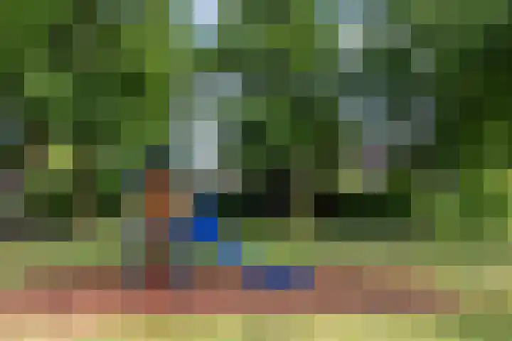 Olieslagershorst 228 Apeldoorn thumbnail 38