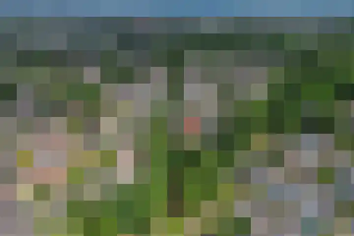 Olieslagershorst 228 Apeldoorn thumbnail 39