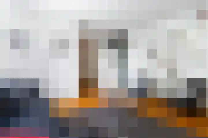 Olieslagershorst 228 Apeldoorn thumbnail 4