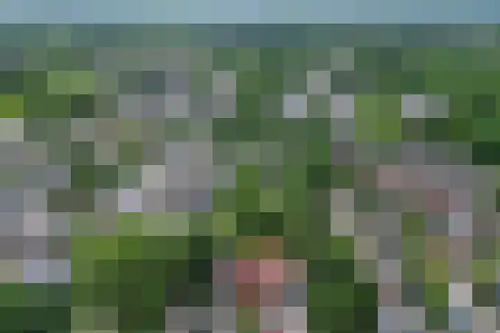 Olieslagershorst 228 Apeldoorn thumbnail 40